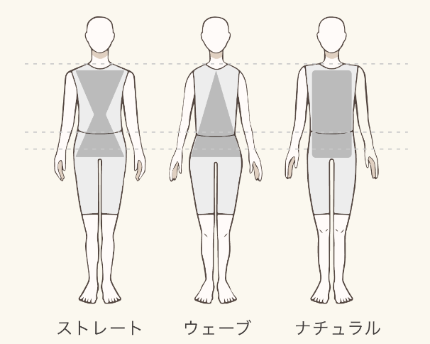 骨格診断の3タイプの分類の図