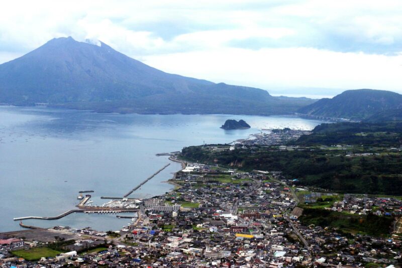 どちらも採れるのは鹿児島県垂水市